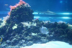 Killikus&reg; Fotographie